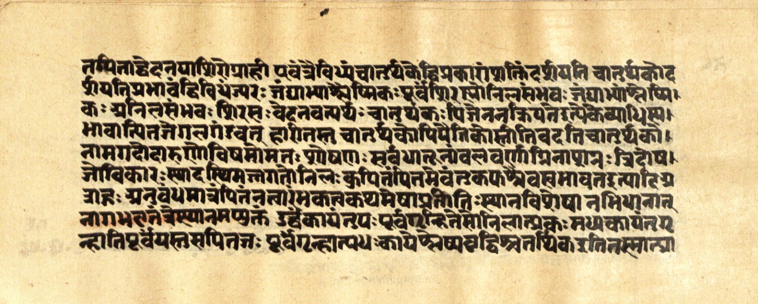 Mādhavanidāna 2, page 71