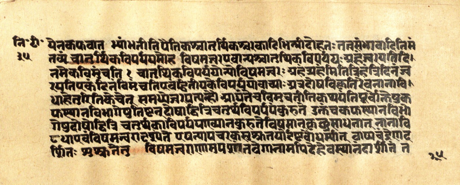 Mādhavanidāna 2, page 72