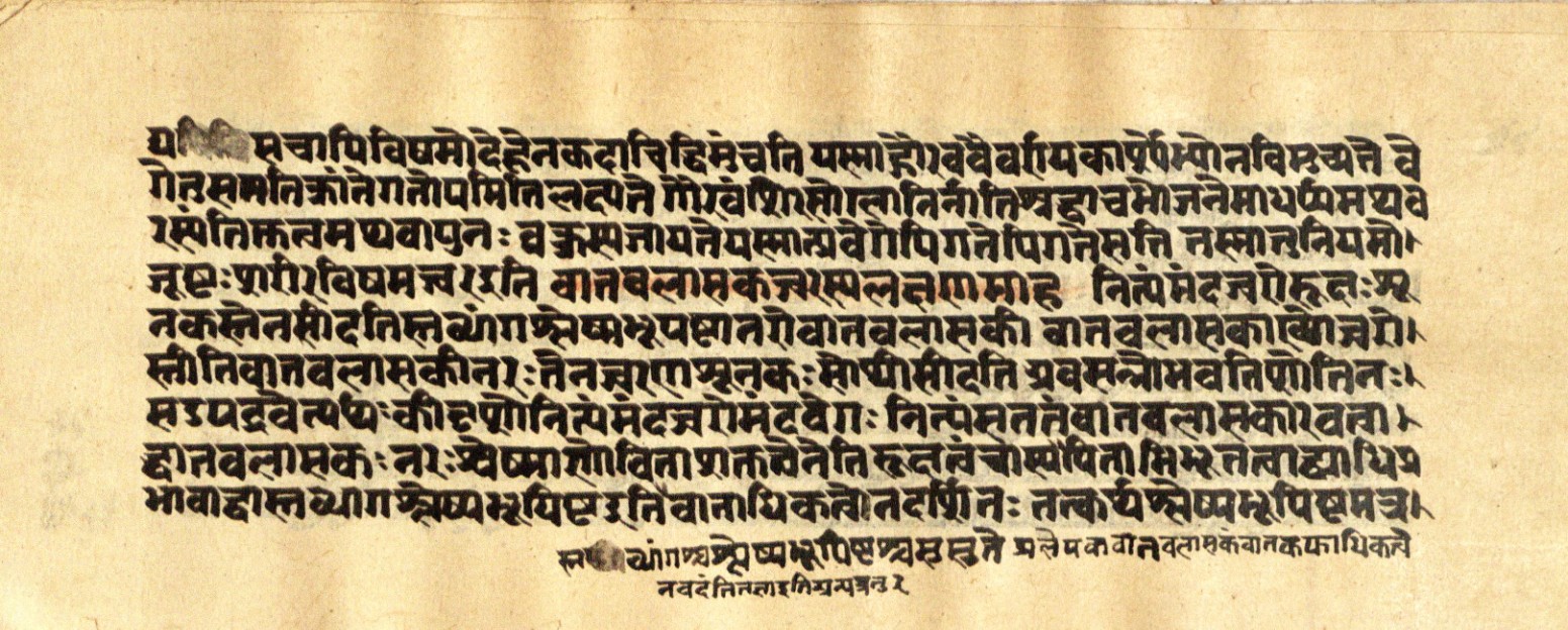 Mādhavanidāna 2, page 73