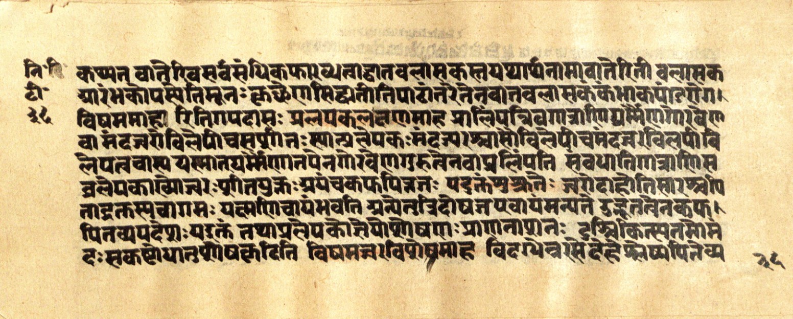 Mādhavanidāna 2, page 74