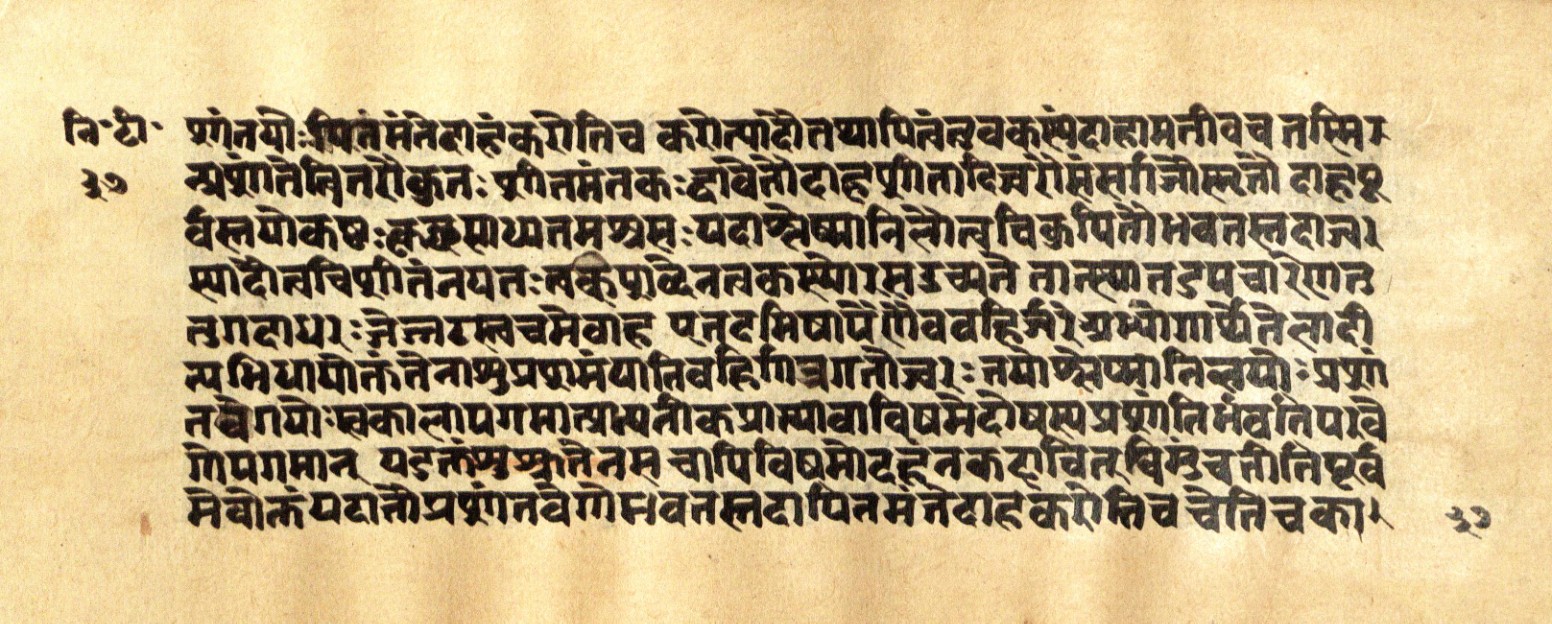 Mādhavanidāna 2, page 76