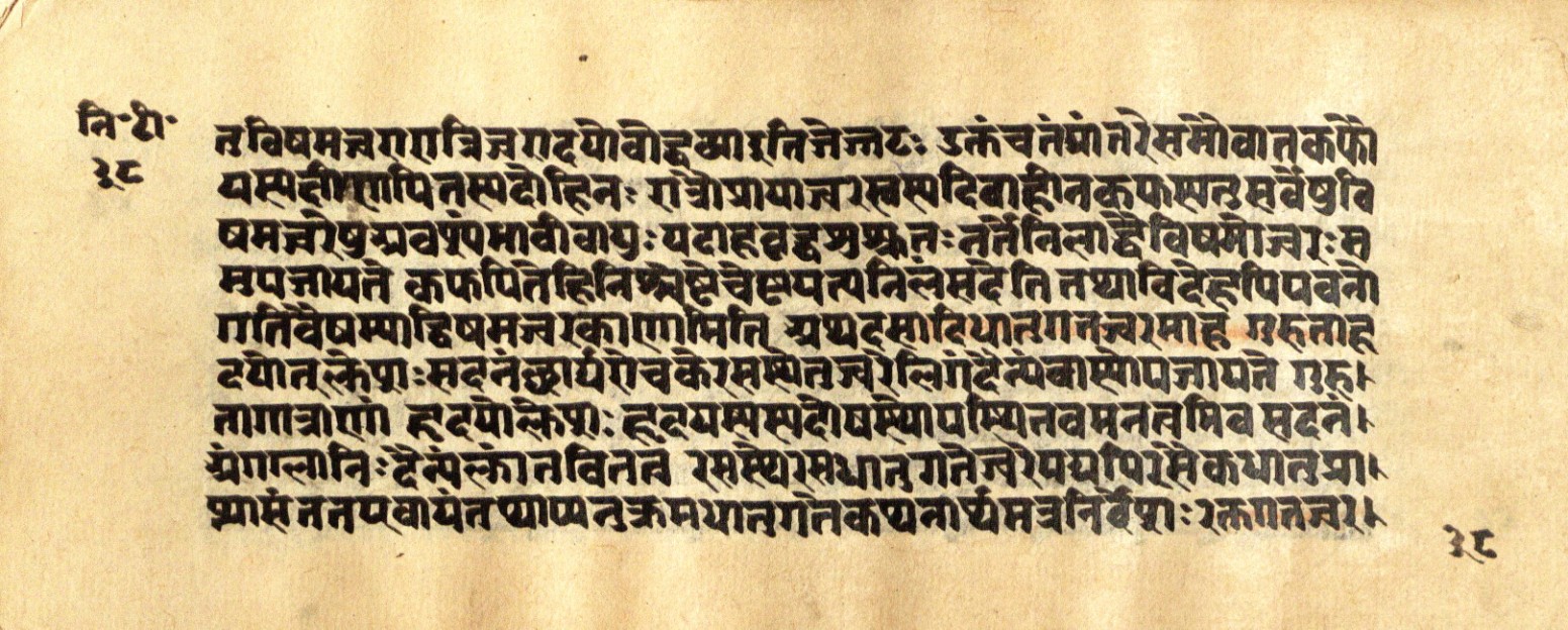 Mādhavanidāna 2, page 78