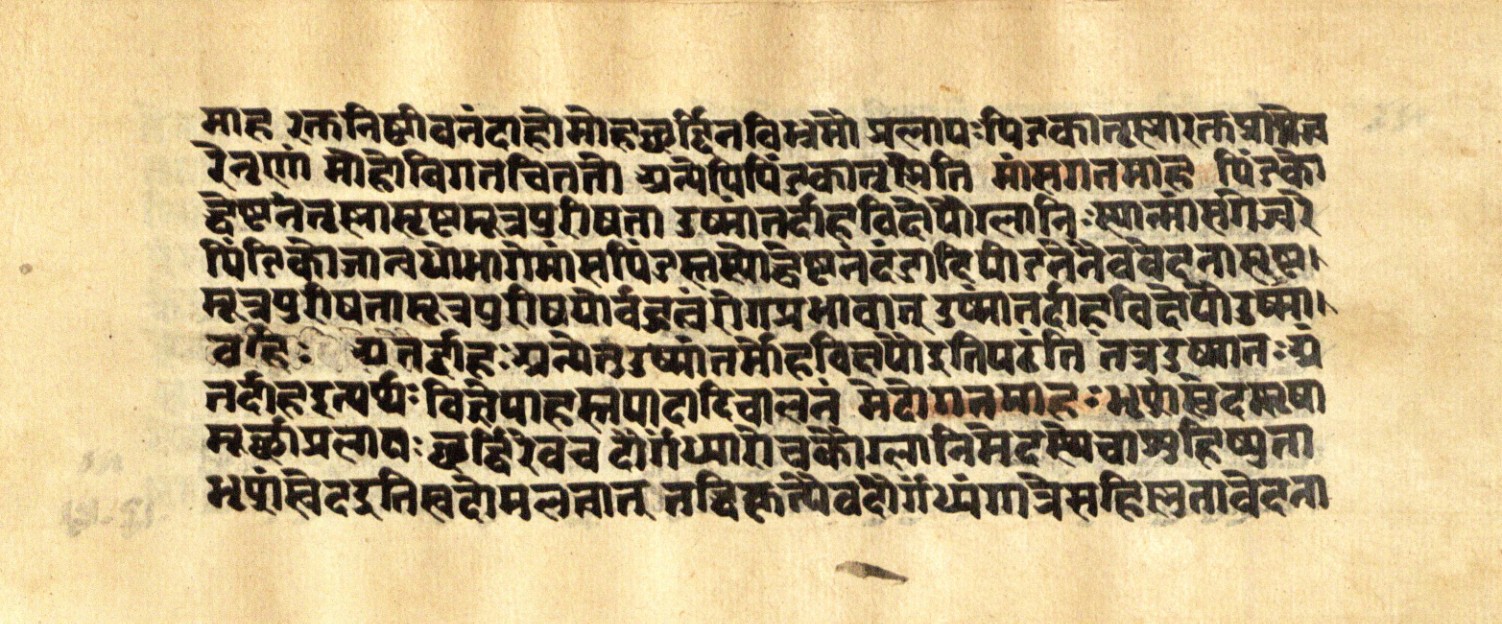 Mādhavanidāna 2, page 79
