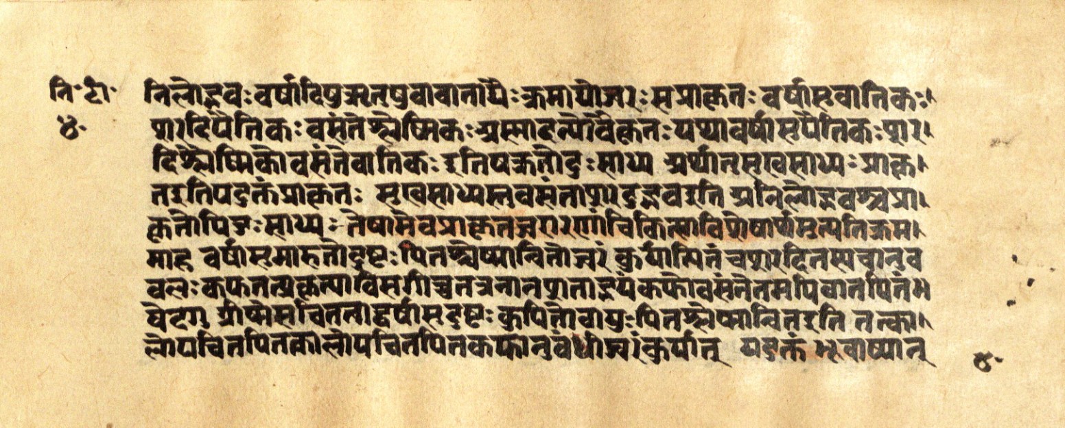 Mādhavanidāna 2, page 82