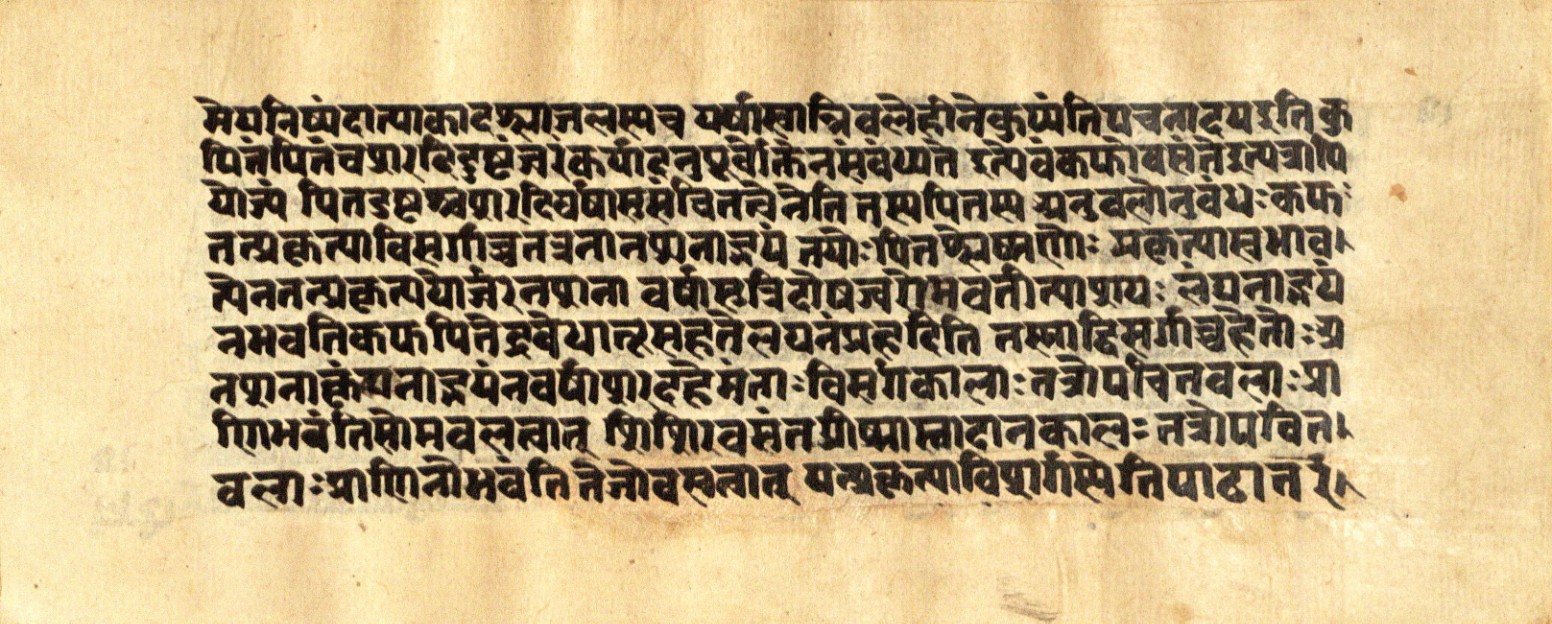 Mādhavanidāna 2, page 83