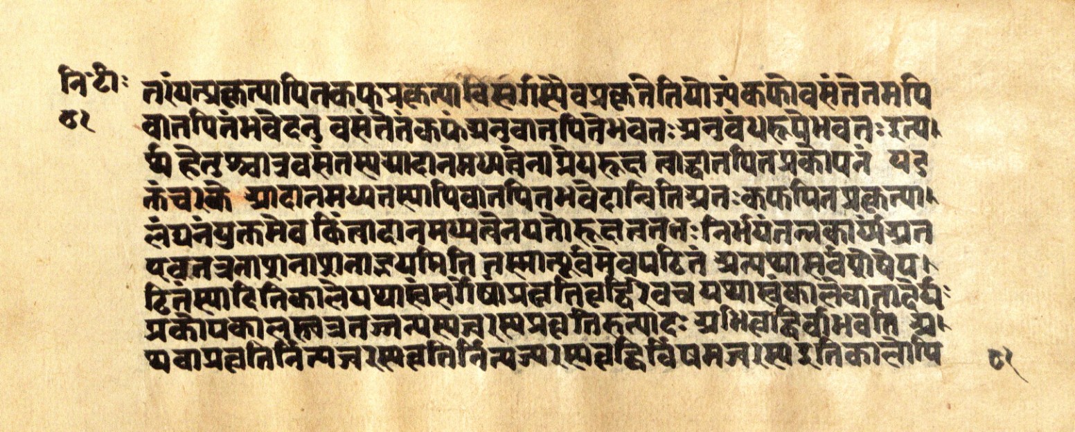 Mādhavanidāna 2, page 84