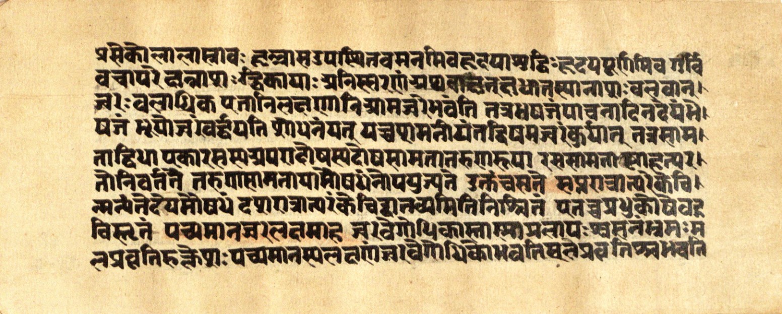 Mādhavanidāna 2, page 87