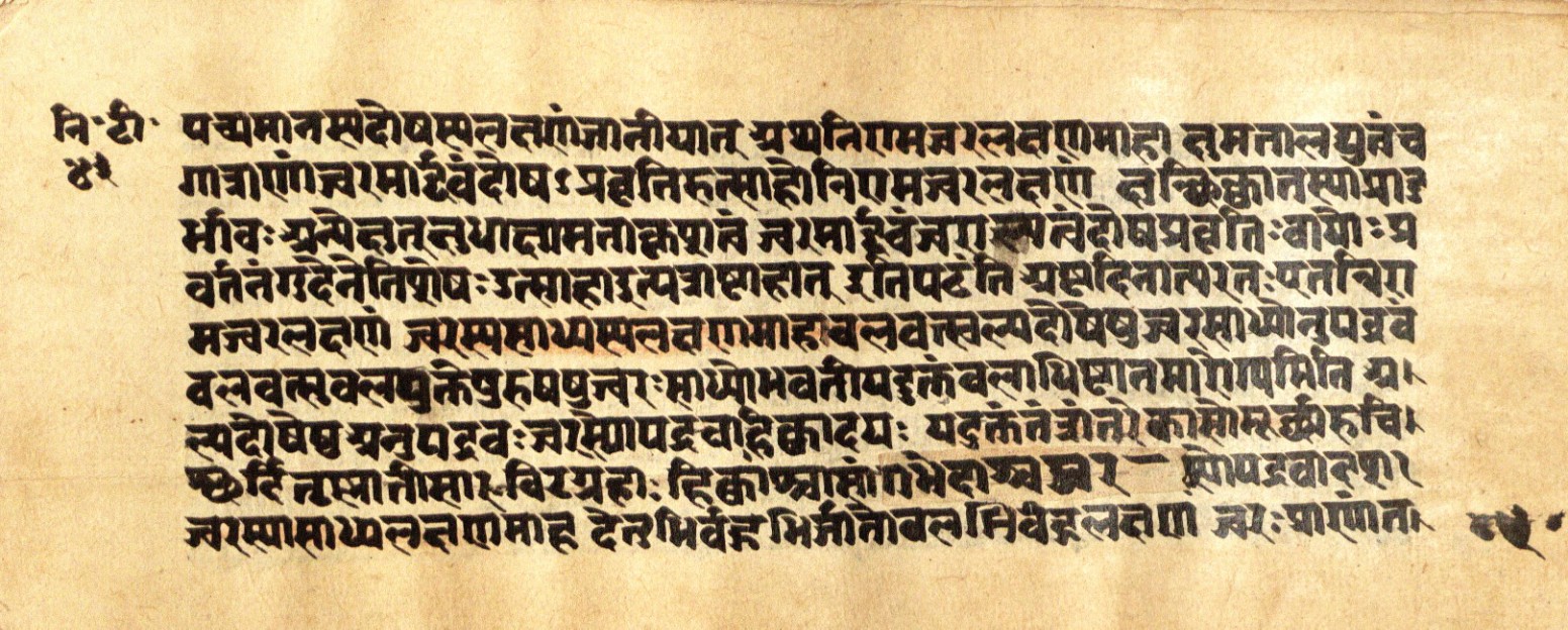 Mādhavanidāna 2, page 88