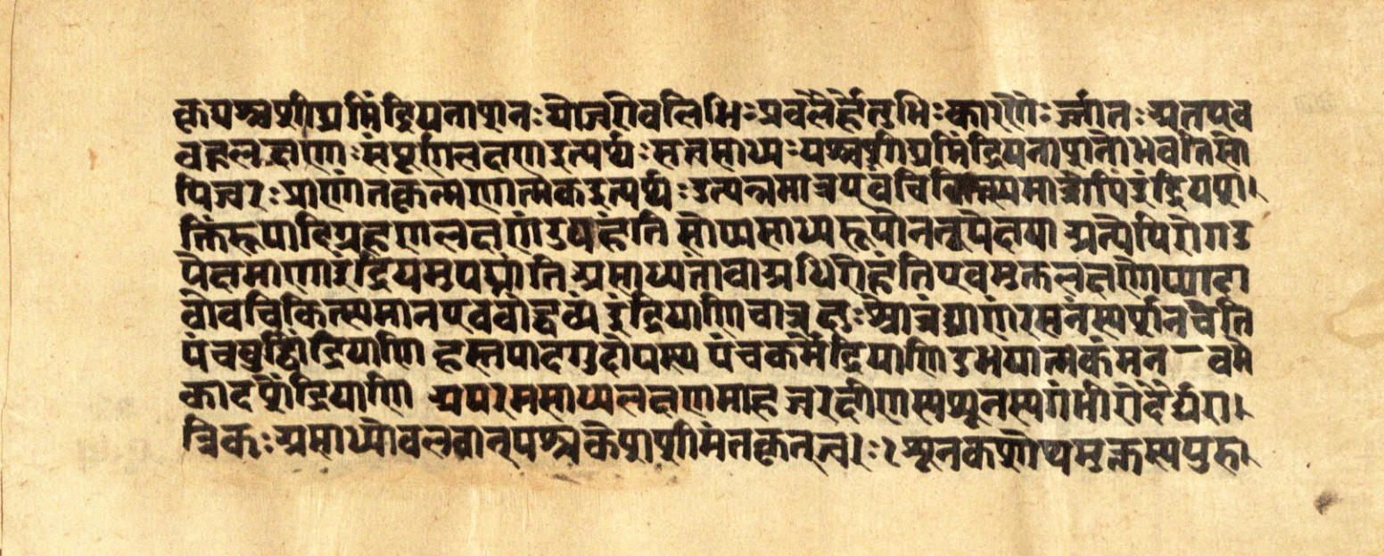 Mādhavanidāna 2, page 89