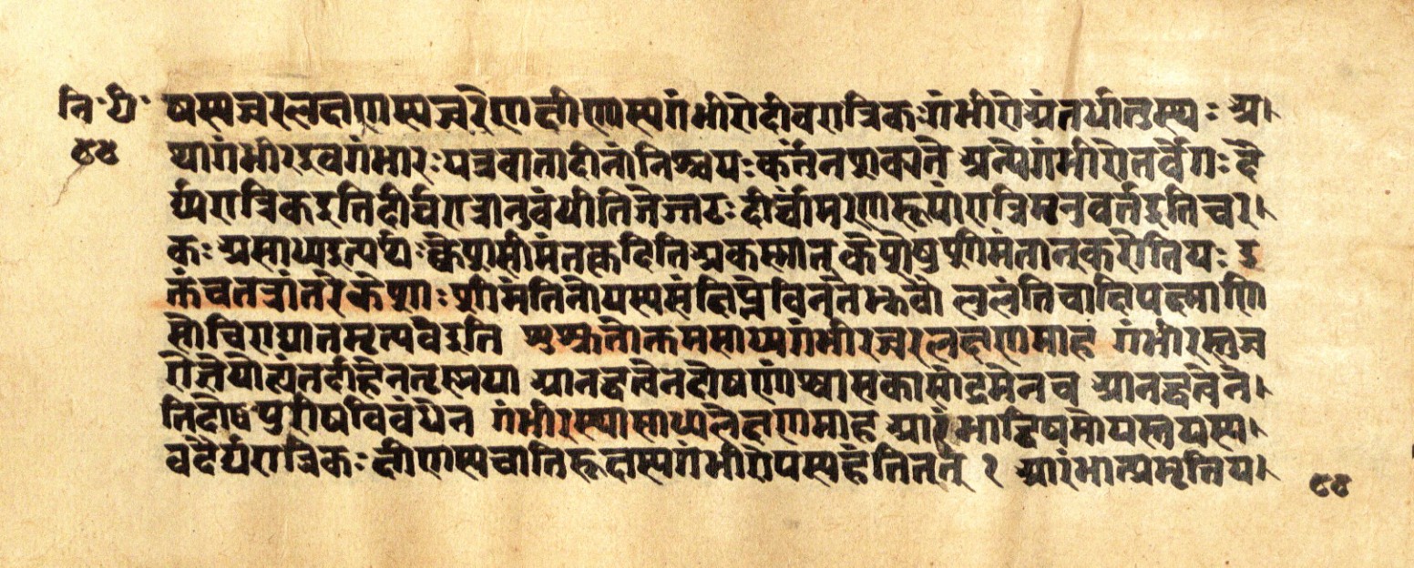 Mādhavanidāna 2, page 90