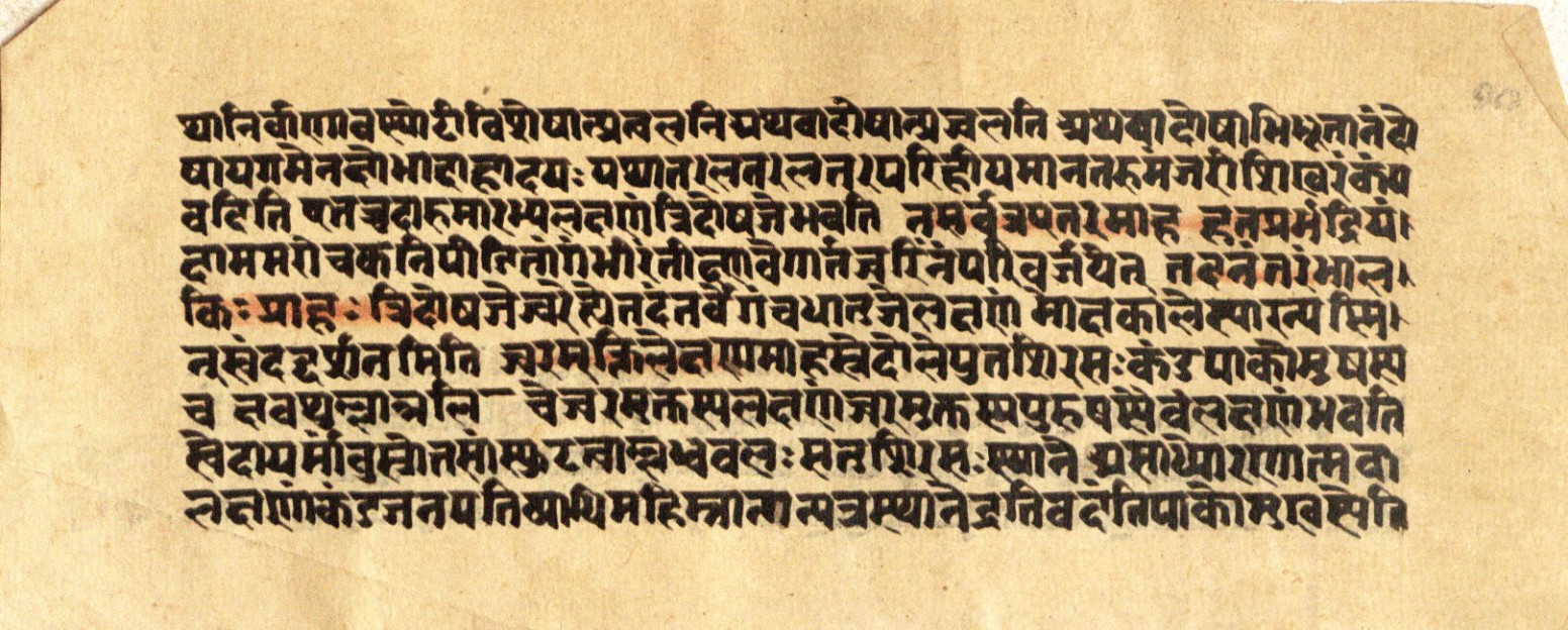 Mādhavanidāna 2, page 95