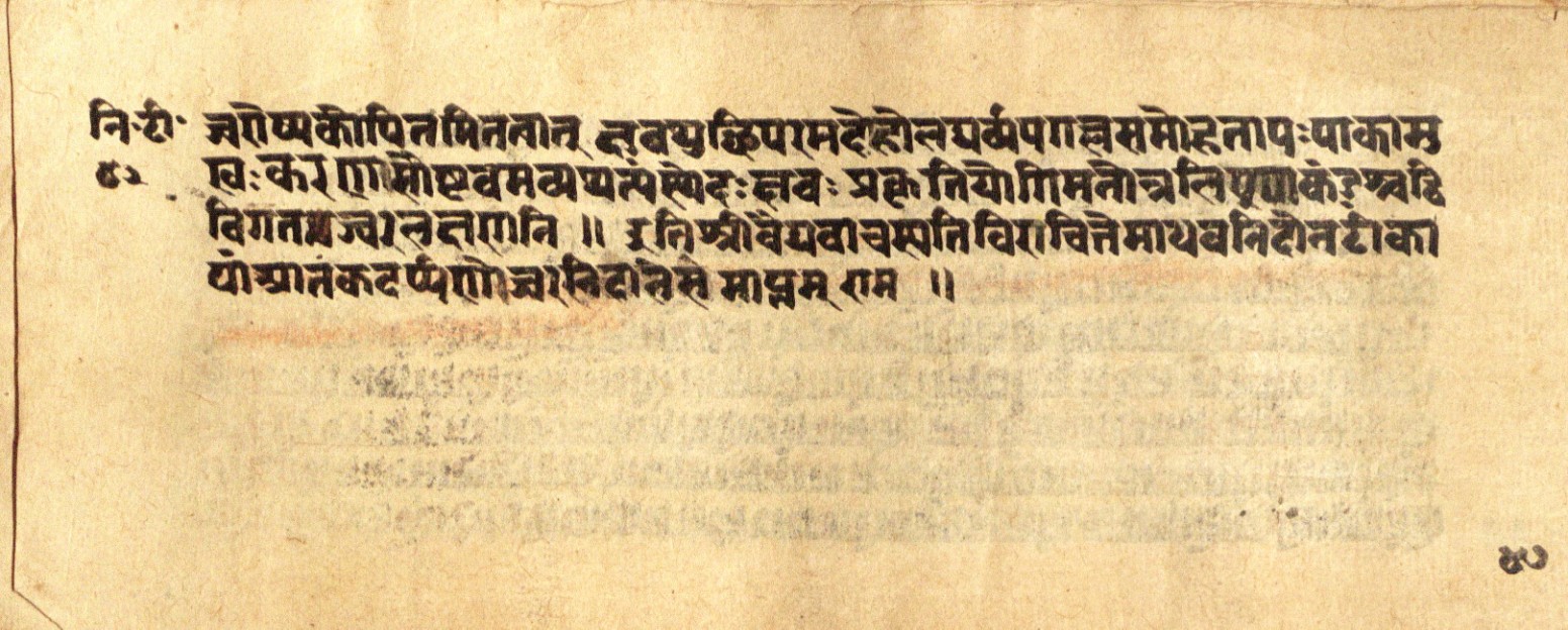 Mādhavanidāna 2, page 96