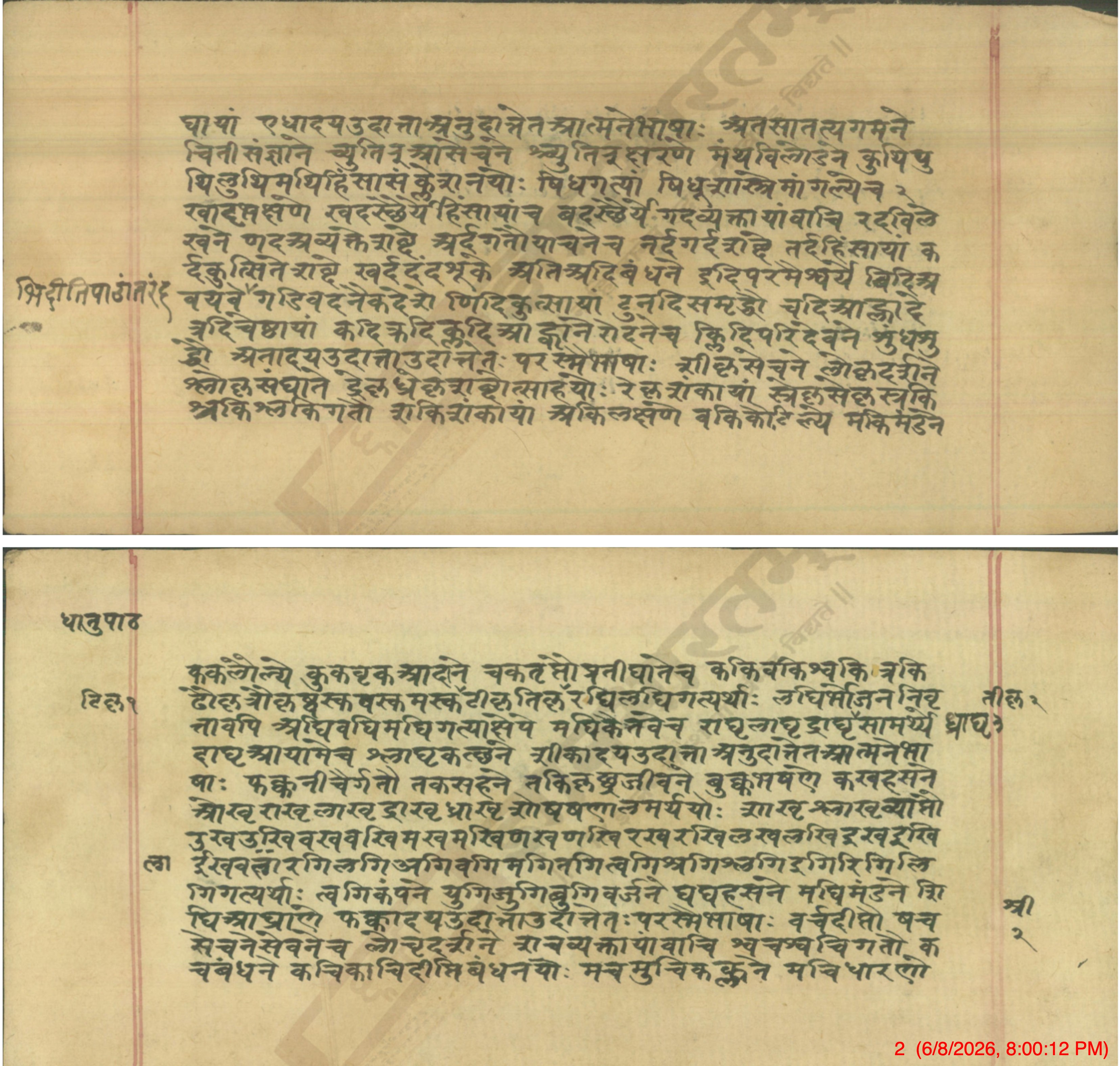 Opening of the Dhātupāṭha