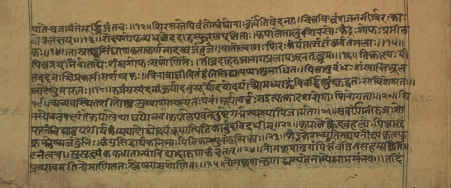 Vaidyajīvana2, page 2