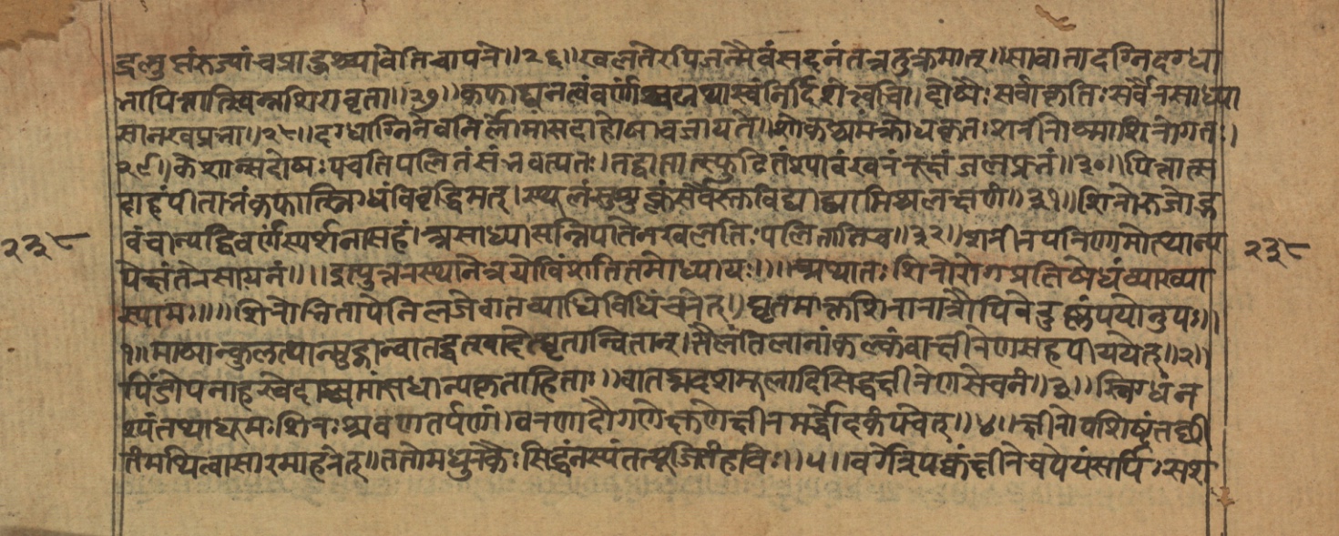 Vaidyajīvana2, page 3