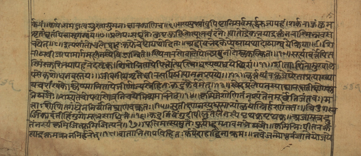 Vaidyajīvana2, page 4