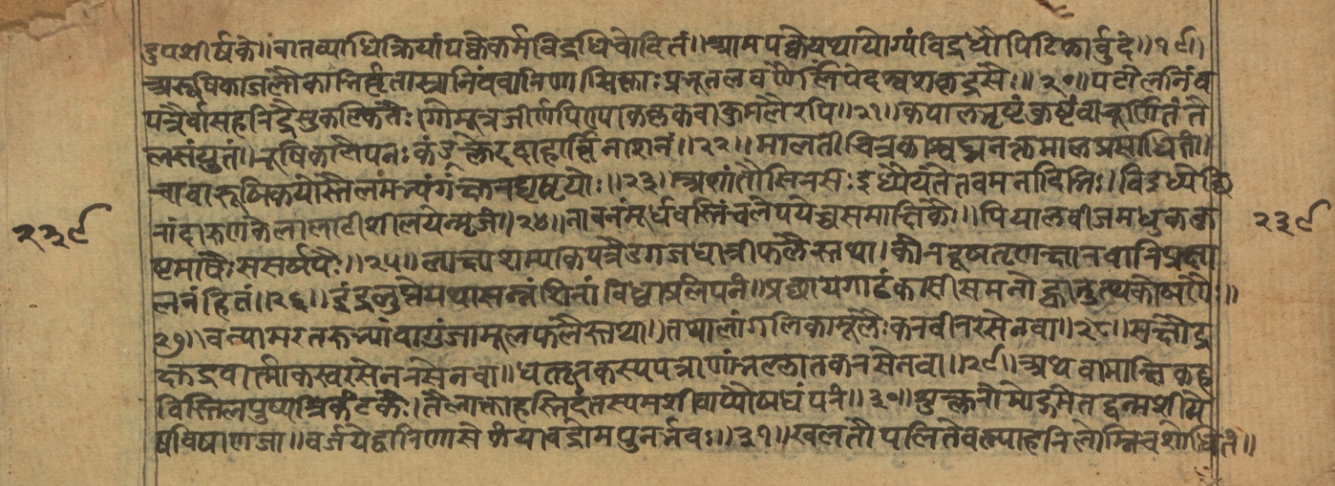 Vaidyajīvana2, page 5