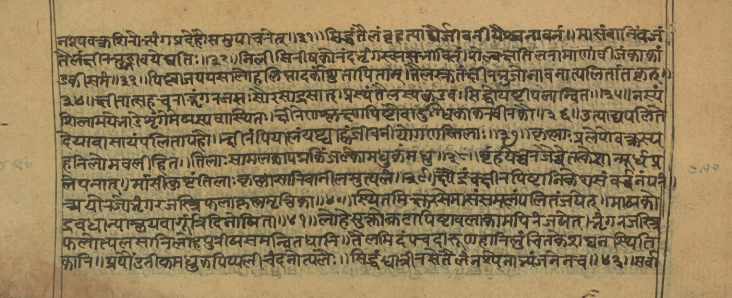 Vaidyajīvana2, page 6