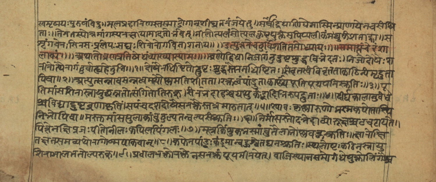 Vaidyajīvana2, page 8