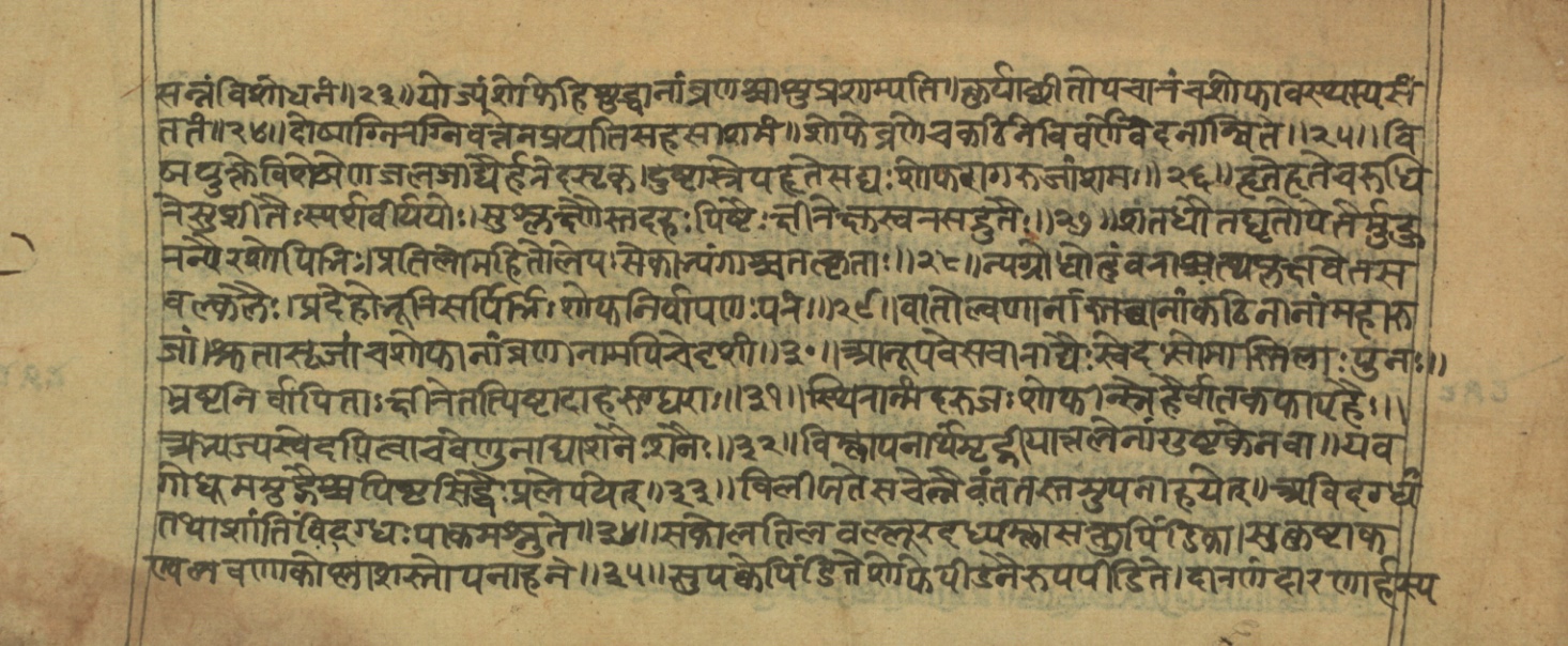 Vaidyajīvana2, page 10