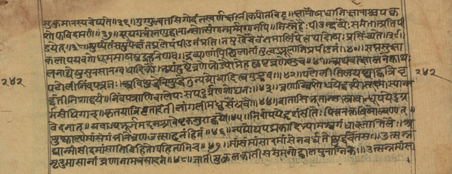 Vaidyajīvana2, page 11
