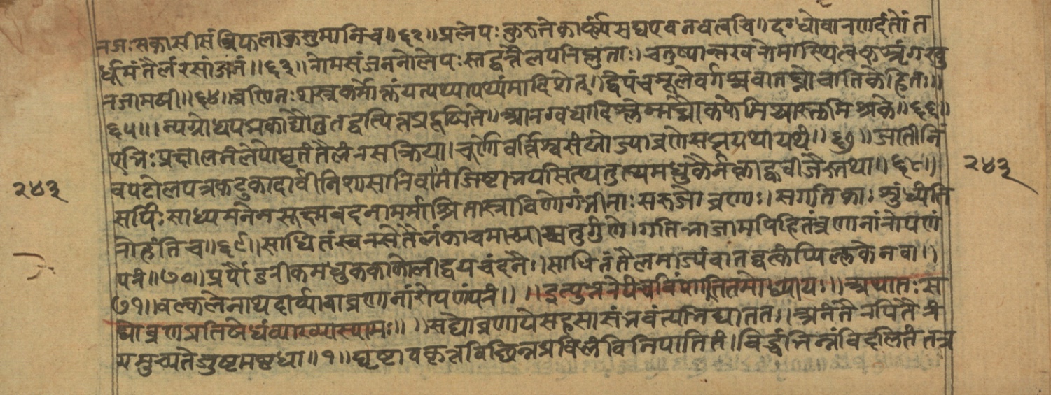 Vaidyajīvana2, page 13