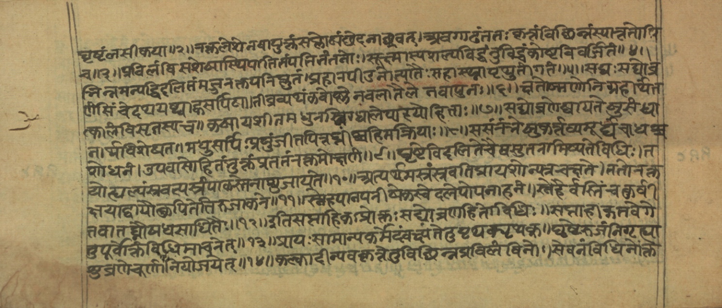 Vaidyajīvana2, page 14
