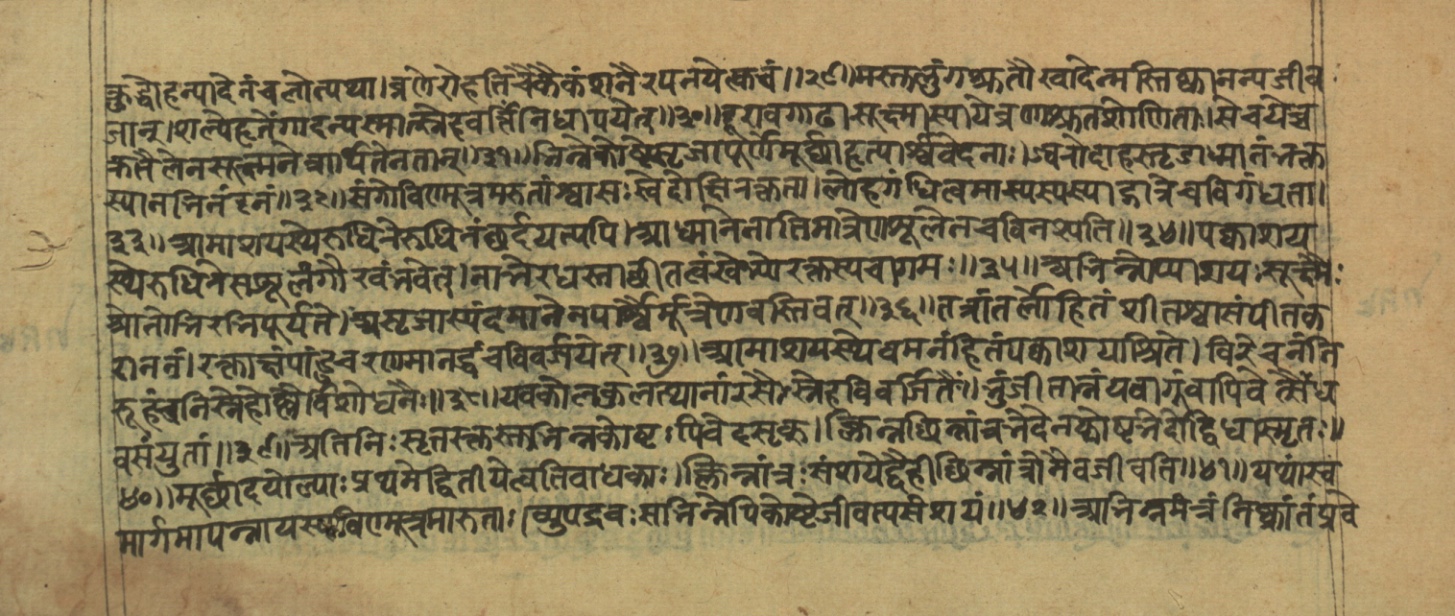 Vaidyajīvana2, page 16