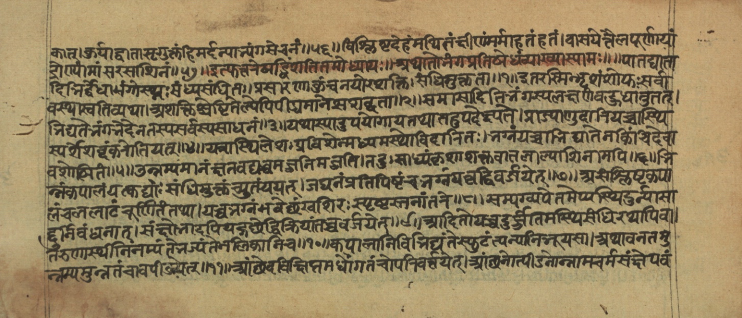 Vaidyajīvana2, page 18