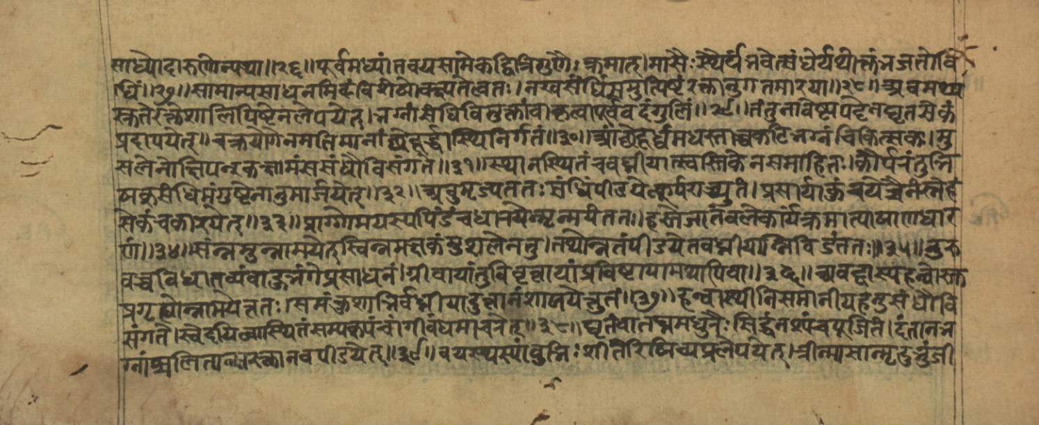 Vaidyajīvana2, page 20