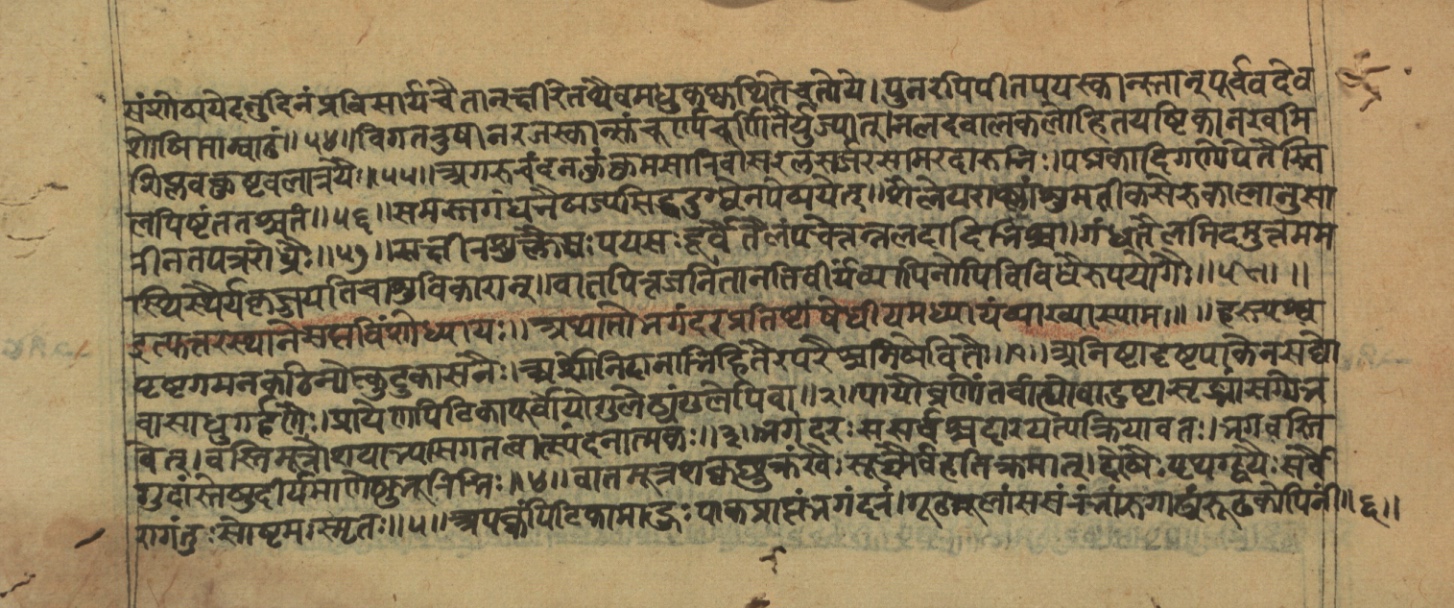 Vaidyajīvana2, page 22