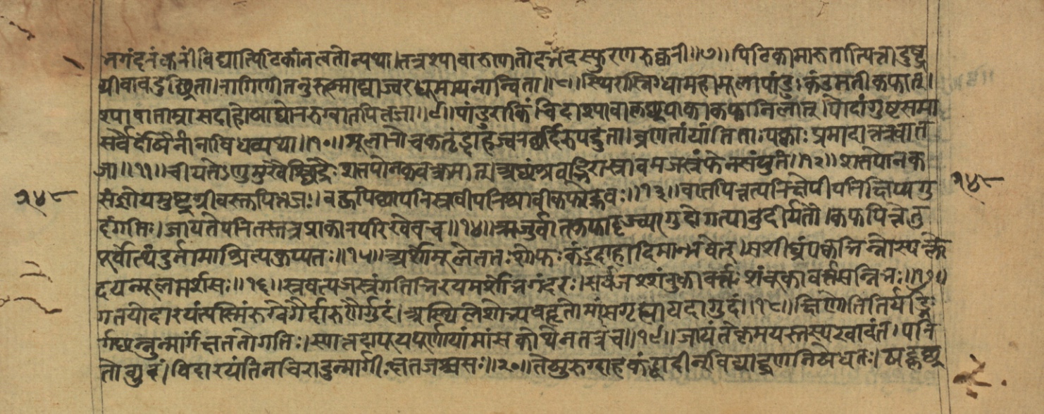 Vaidyajīvana2, page 23