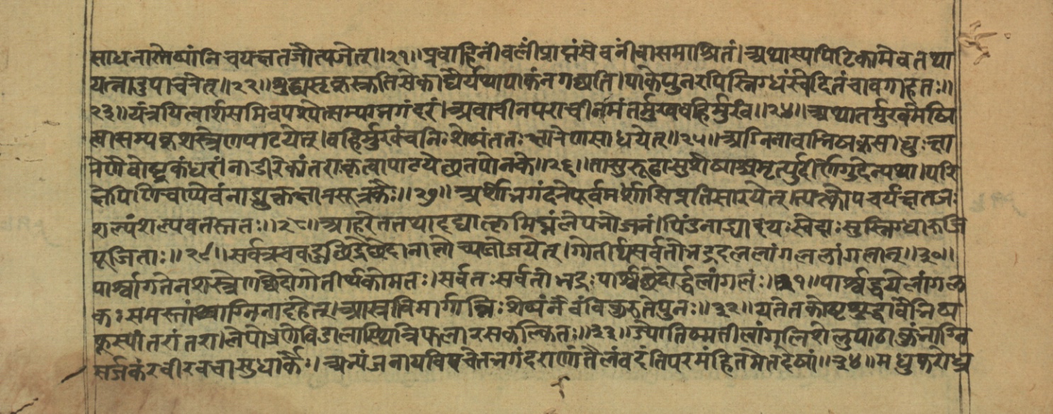 Vaidyajīvana2, page 24