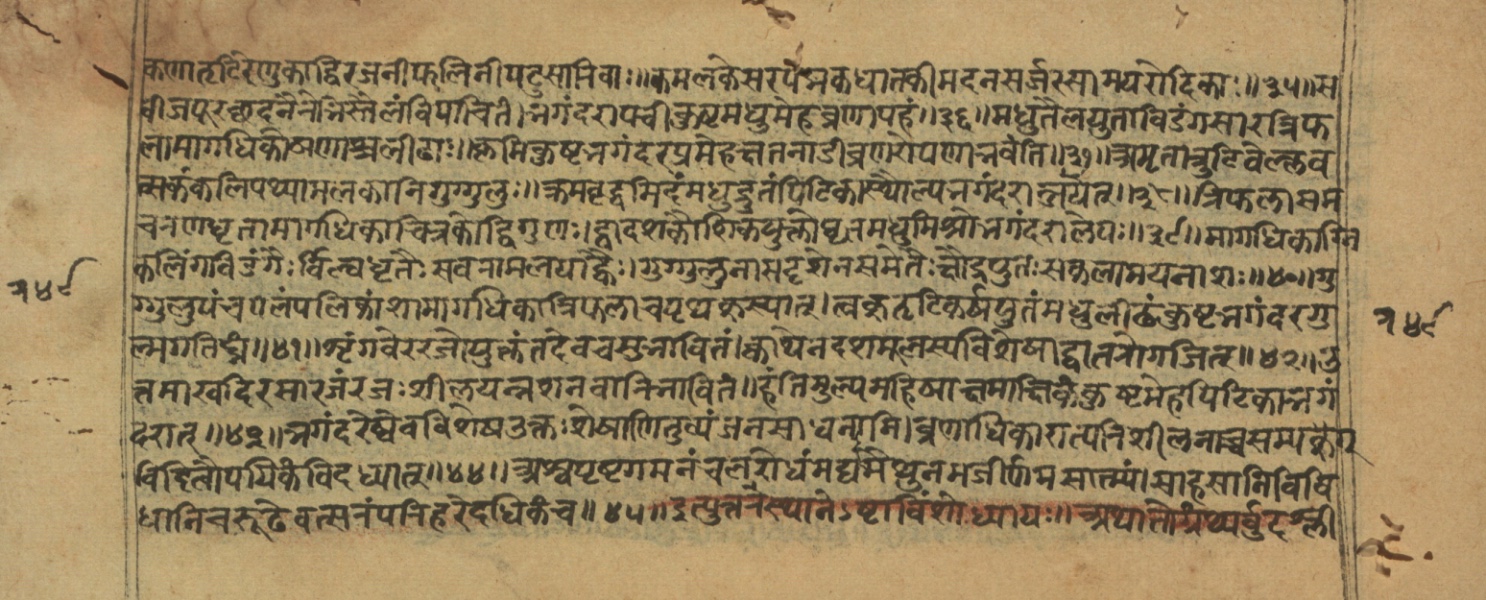 Vaidyajīvana2, page 25