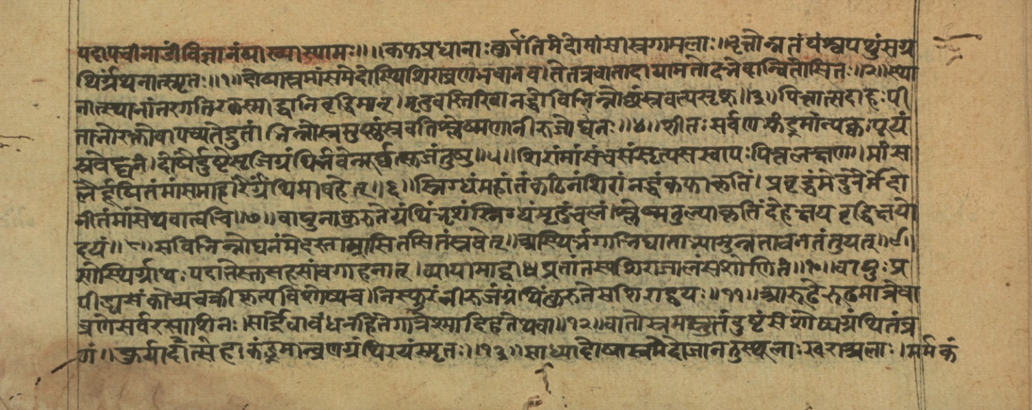 Vaidyajīvana2, page 26
