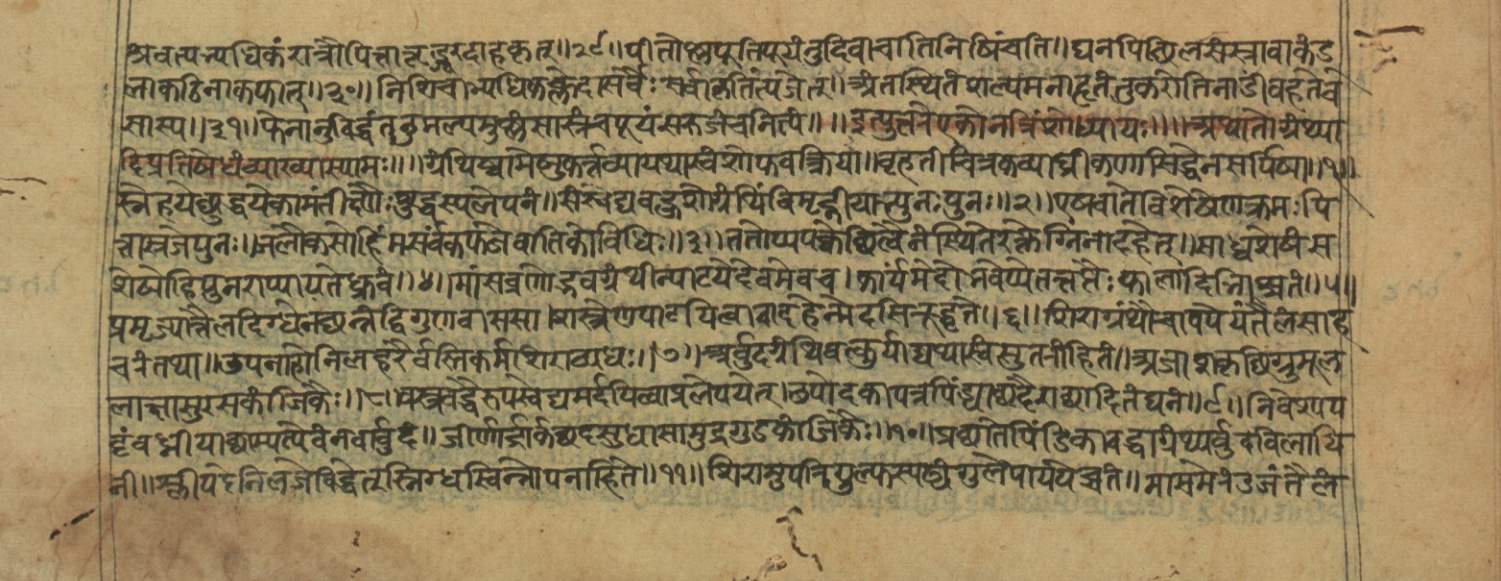 Vaidyajīvana2, page 28