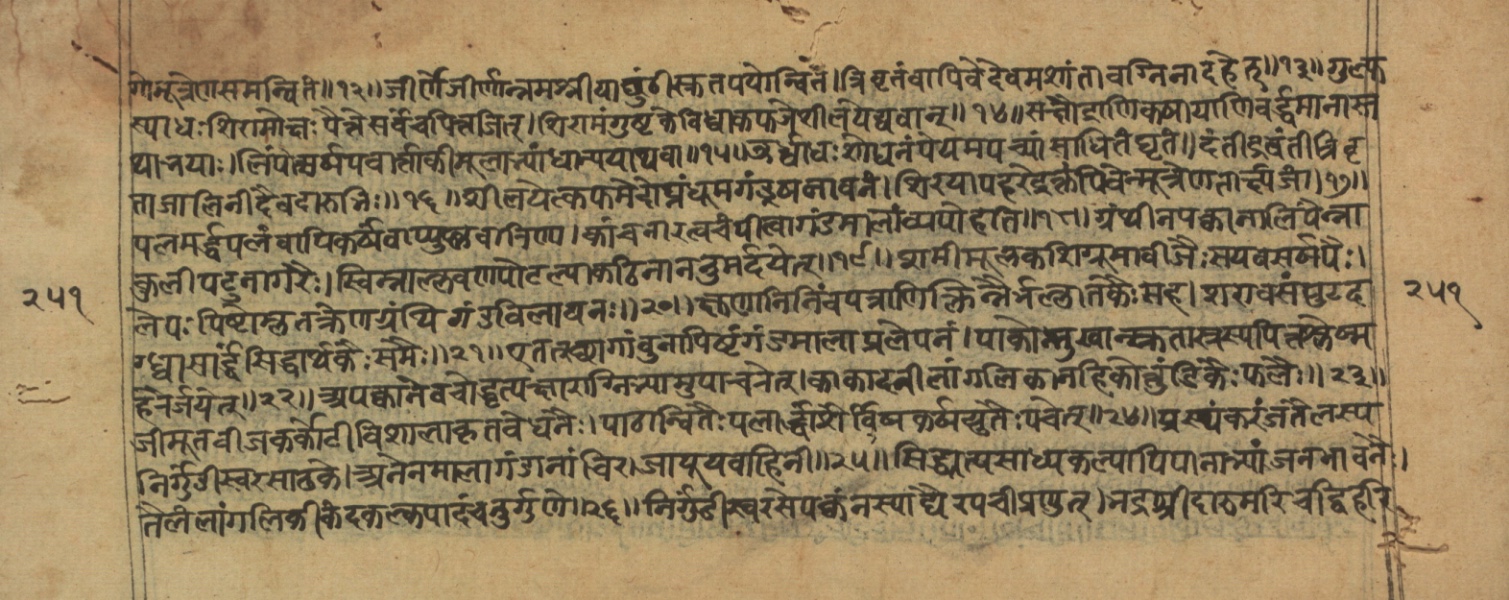 Vaidyajīvana2, page 29