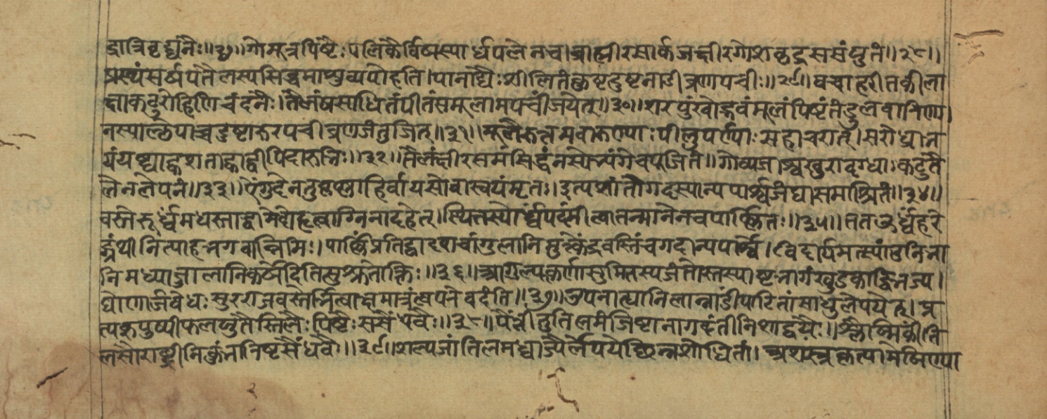 Vaidyajīvana2, page 30