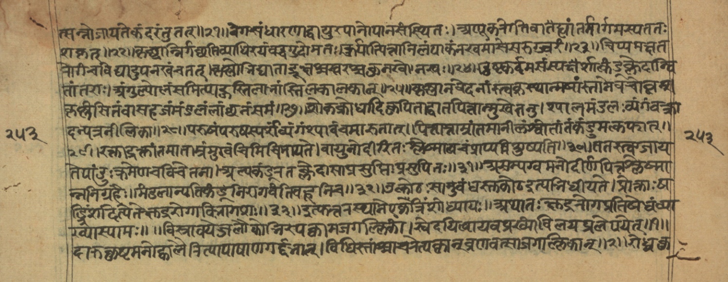 Vaidyajīvana2, page 33