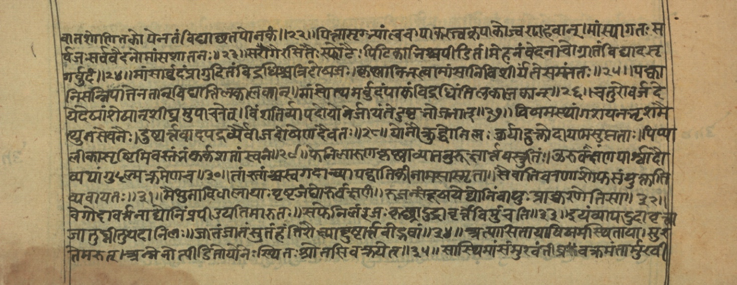 Vaidyajīvana2, page 38