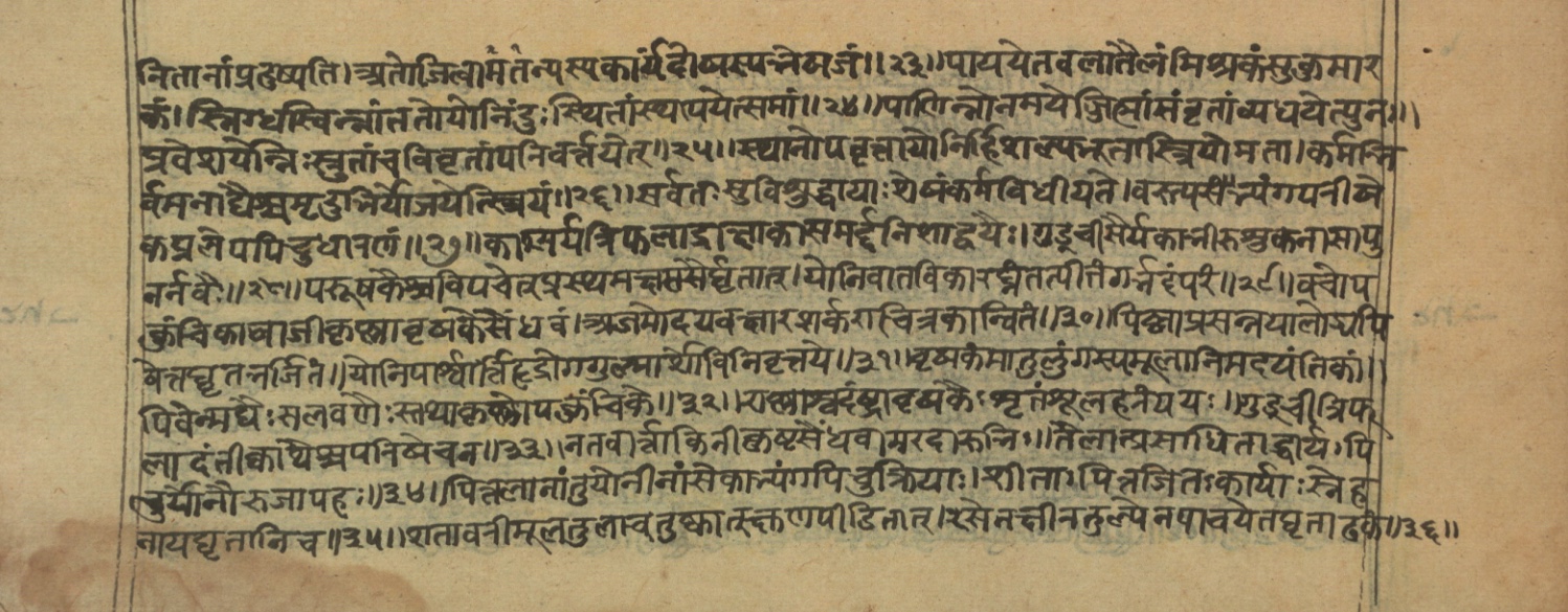 Vaidyajīvana2, page 42