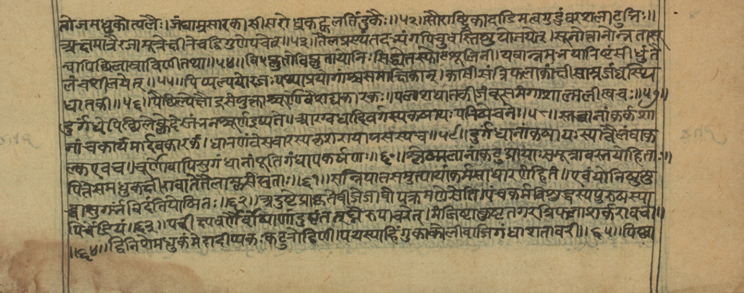 Vaidyajīvana2, page 44