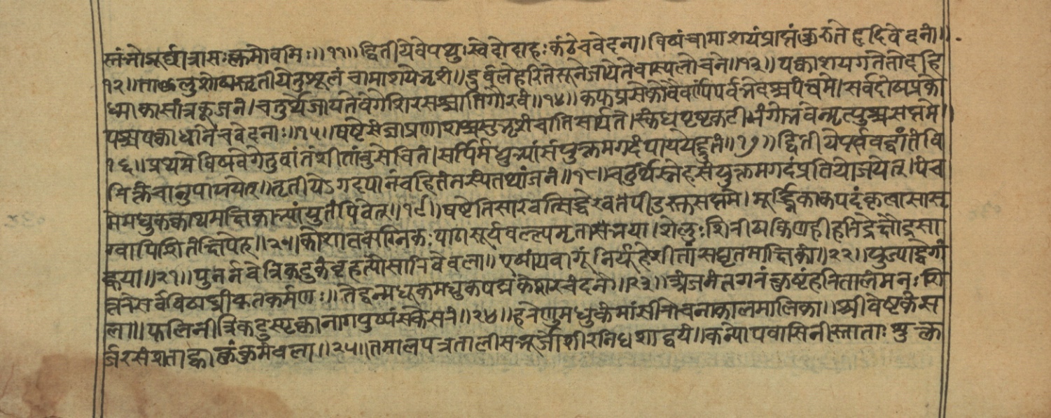 Vaidyajīvana2, page 46