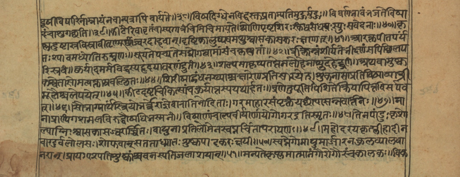 Vaidyajīvana2, page 48