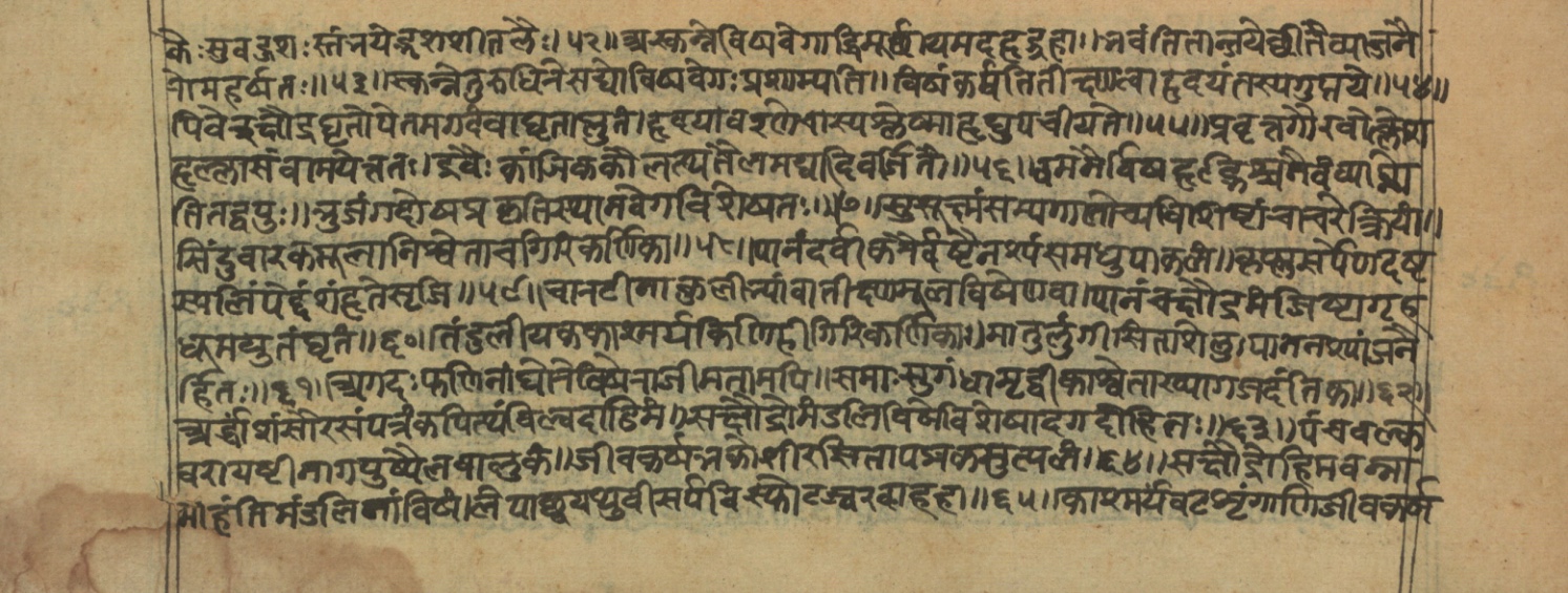 Vaidyajīvana2, page 54