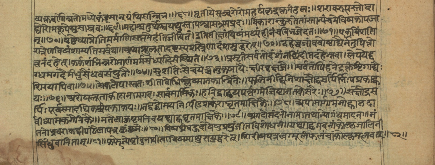 Vaidyajīvana2, page 62