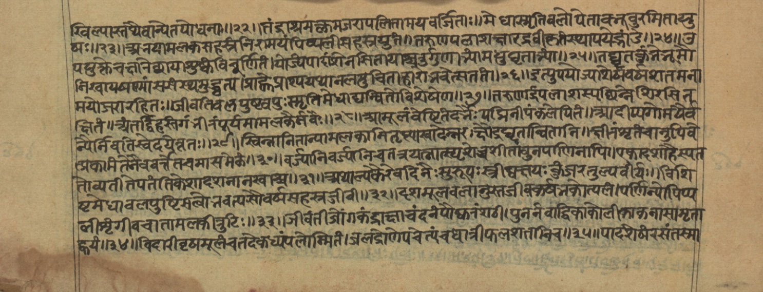 Vaidyajīvana2, page 68
