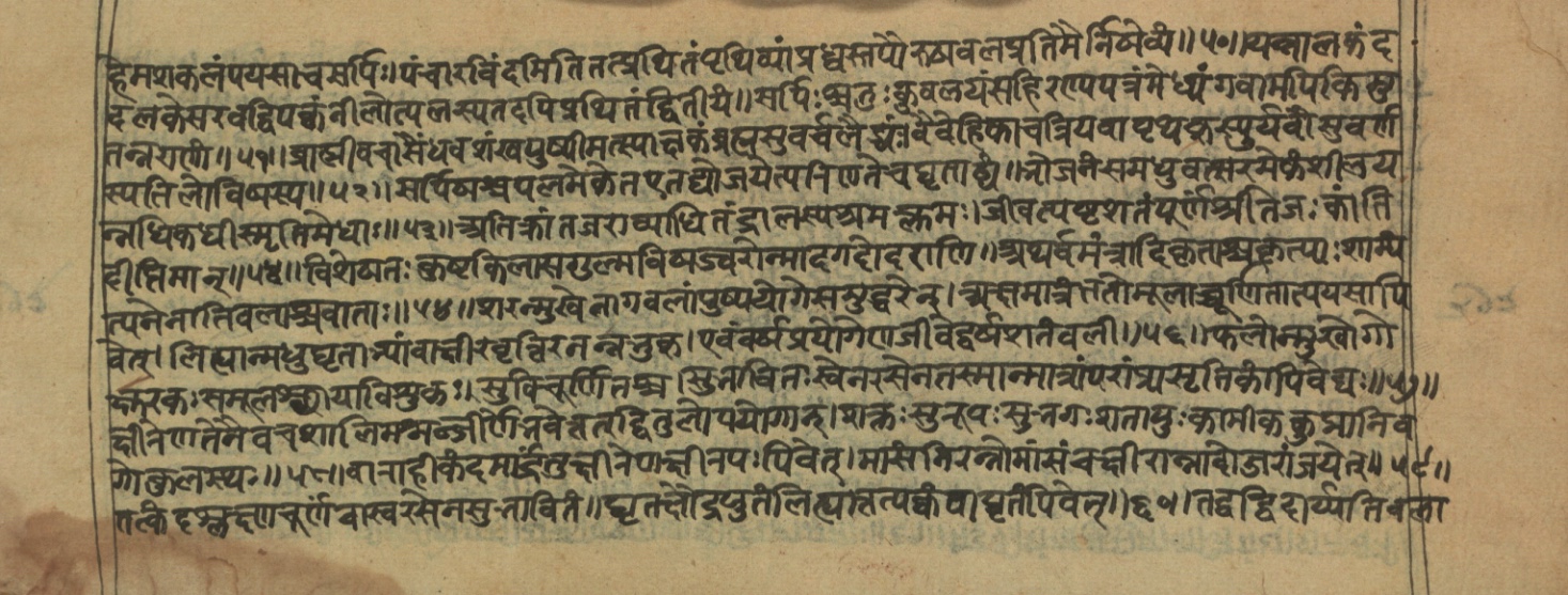 Vaidyajīvana2, page 70