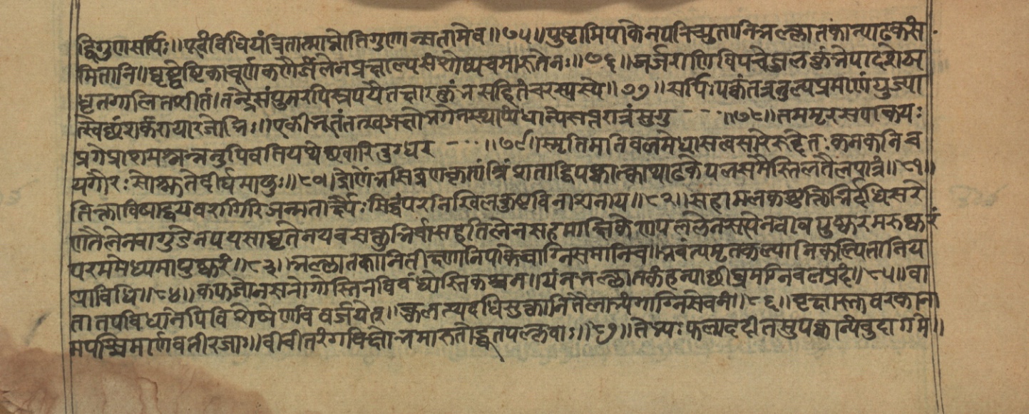 Vaidyajīvana2, page 72