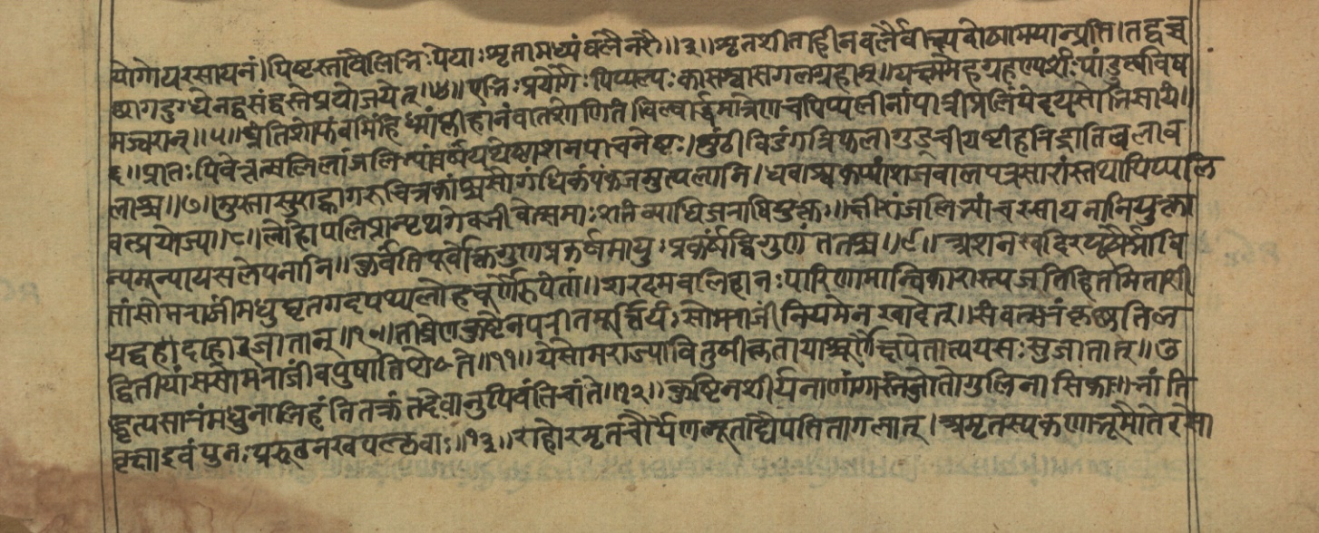 Vaidyajīvana2, page 74